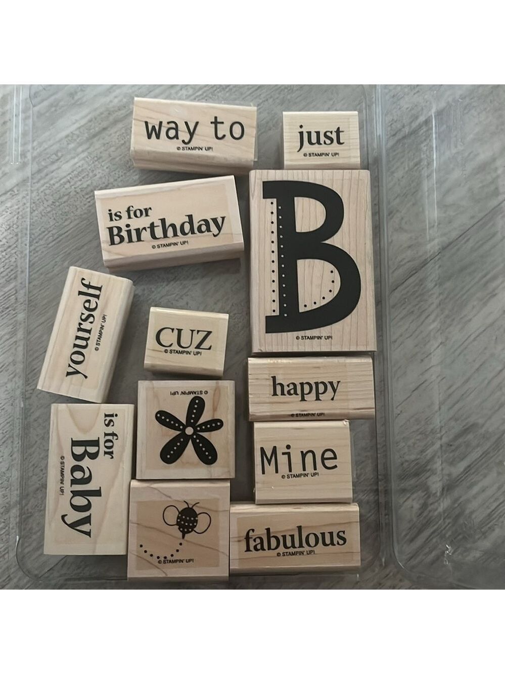 Stampin Up Retired Set ‘Just Be’
